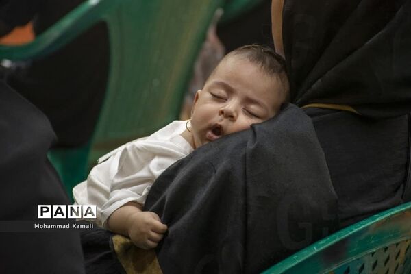همایش شیرخوارگان حسینی در شهرستان محلات