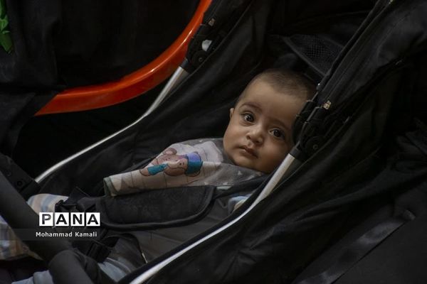 همایش شیرخوارگان حسینی در شهرستان محلات