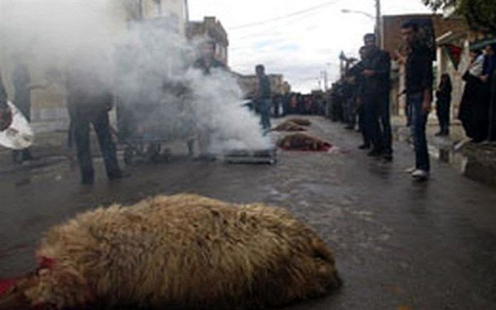 از کشتار دام در معابر جدا خودداری شود