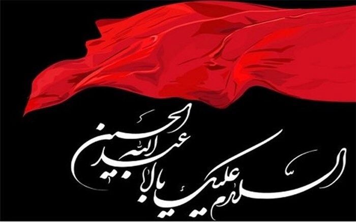 حال و هوای  شهرستان پاکدشت در محرم به روایت دانش‌‌آموز خبرنگار پانا/ فیلم
