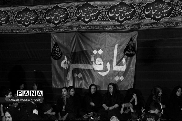 عزاداری قاسم‌ بن‌ الحسن هیات سفینة‌ النجاة