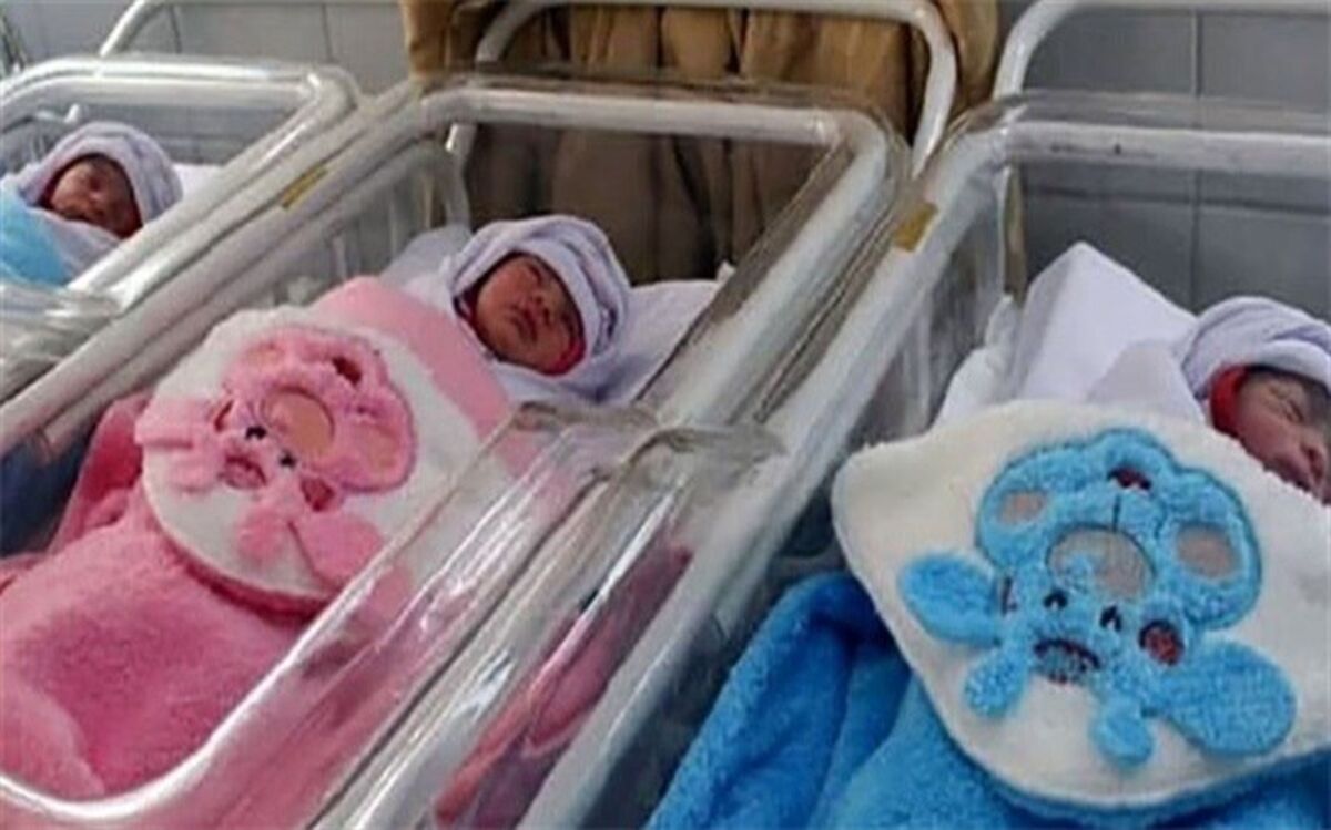 بهره‌مندی ۳۹ هزار و ۵۳۰ خانوار دارای فرزند چندقلو از حمایت‌های بهزیستی