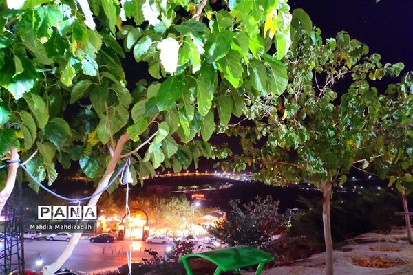 مراسم عزاداری شب هشتم محرم ۱۴۰۲ در جوار مزار شهدا