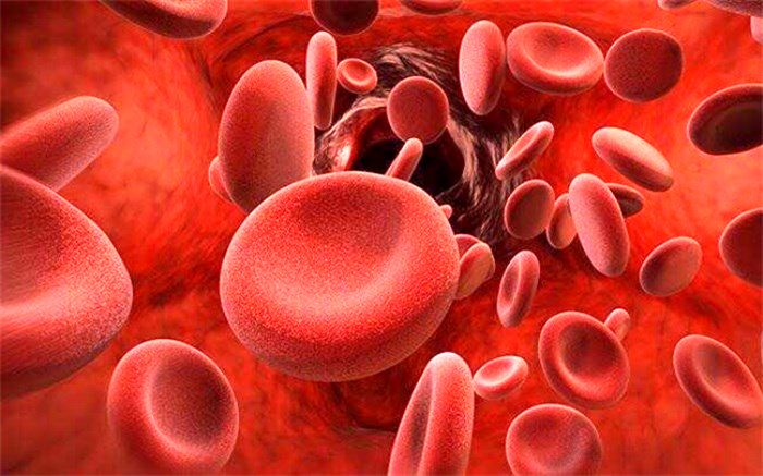 چند روش درمان غذایی برای جلوگیری از غلظت خون