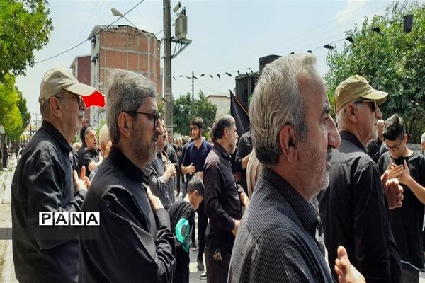 آیین زنجیر زنی و سینه‌زنی عاشورای حسینی  در نور