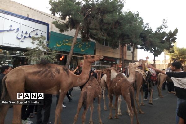 حرکت کاروان نمادین بنی اسد در شهرستان کاشمر
