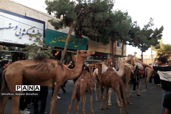حرکت کاروان نمادین بنی اسد در شهرستان کاشمر