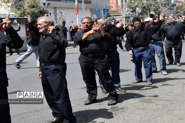 سنت عَلَم‌کشی به یاد علمدار دشت نینوا در تربت حیدریه