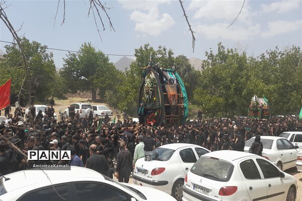 آیین نخل‌برداری علی‌آباد پیشکوه تفت