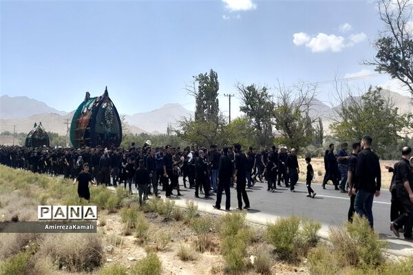 آیین نخل‌برداری علی‌آباد پیشکوه تفت