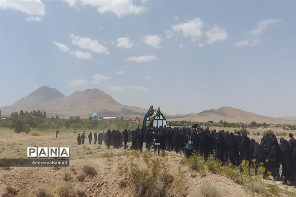 آیین نخل‌برداری علی‌آباد پیشکوه تفت