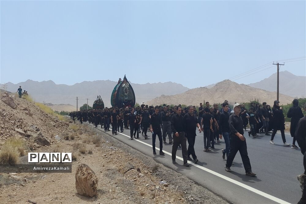 آیین نخل‌برداری علی‌آباد پیشکوه تفت