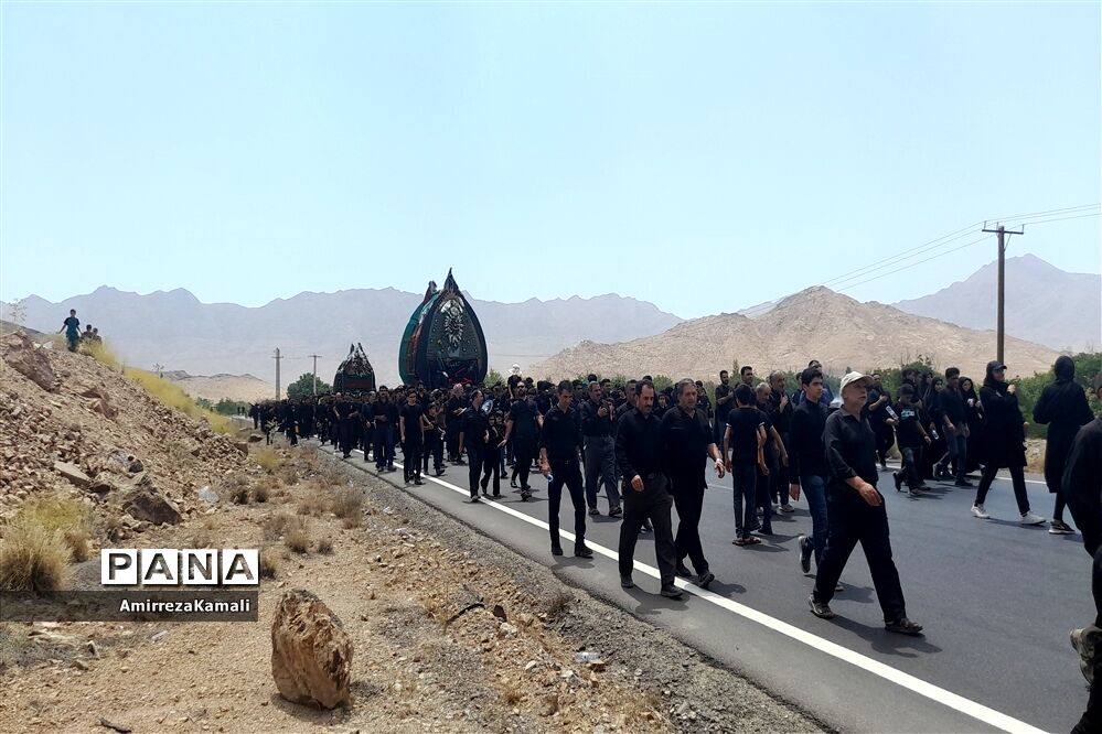 آیین نخل‌برداری علی‌آباد پیشکوه تفت