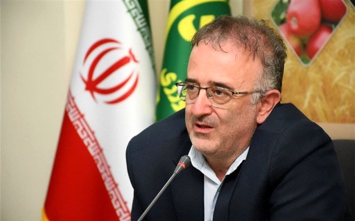 مبارزه با سن گندم در ۸۶ هزار هکتار از اراضی آذربایجان‌شرقی