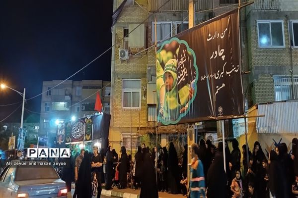 برپایی موکب‌ها در شب شهادت امام زین‌العابدین (ع)