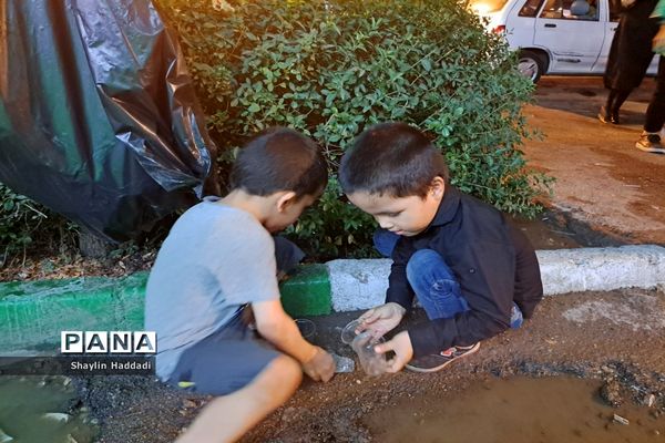 برگزاری مراسم عزاداری سیدالشهدا توسط کودکان حسینی