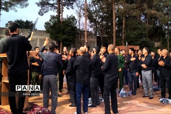 دسته عزاداری در سطح شهرستان رباط‌کریم
