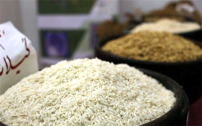 خرید برنج پُرمحصول کشاورزان از سوی شرکت بازرگانی دولتی ایران براساس مصوبه جدید