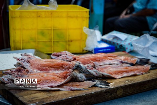 جشنواره ساج بالیغی