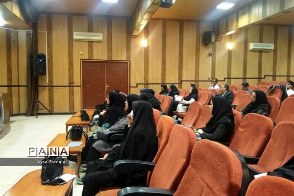 کارگاه آموزشی مهارت‌های تشکیلاتی ویژه مربیان پیشتاز ناحیه 3 شیراز