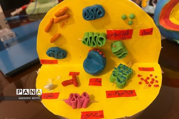 نمایشگاه دست سازه‌های آزمایشگاهی پژوهش‌سرای دانش‌آموزی کاوش