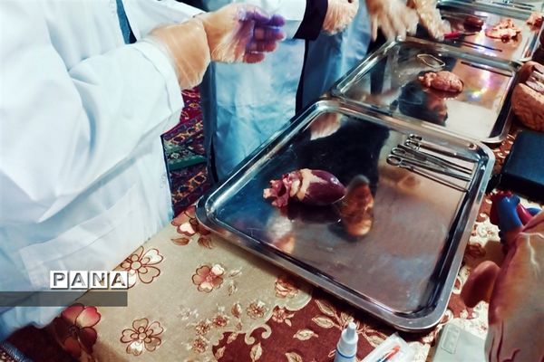 بازدید مسئولان و دانش‌آموزان از نمایشگاه آزمایشگاه زهره خبازی دماوند