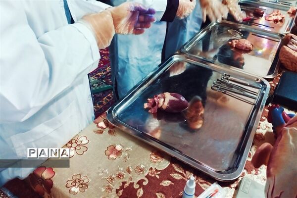 بازدید مسئولان و دانش‌آموزان از نمایشگاه آزمایشگاه زهره خبازی دماوند