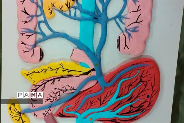 بازدید مسئولان و دانش‌آموزان از نمایشگاه آزمایشگاه زهره خبازی دماوند