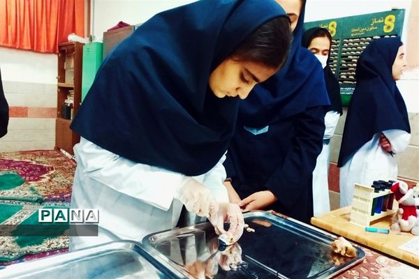 بازدید مسئولان و دانش‌آموزان از نمایشگاه آزمایشگاه زهره خبازی دماوند