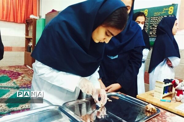 بازدید مسئولان و دانش‌آموزان از نمایشگاه آزمایشگاه زهره خبازی دماوند