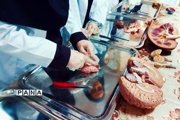 بازدید مسئولان و دانش‌آموزان از نمایشگاه آزمایشگاه زهره خبازی دماوند