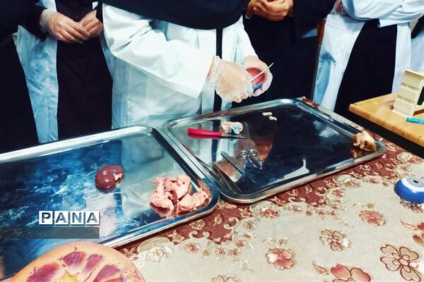 بازدید مسئولان و دانش‌آموزان از نمایشگاه آزمایشگاه زهره خبازی دماوند
