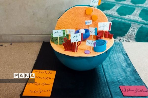 بازدید مسئولان و دانش‌آموزان از نمایشگاه آزمایشگاه زهره خبازی دماوند