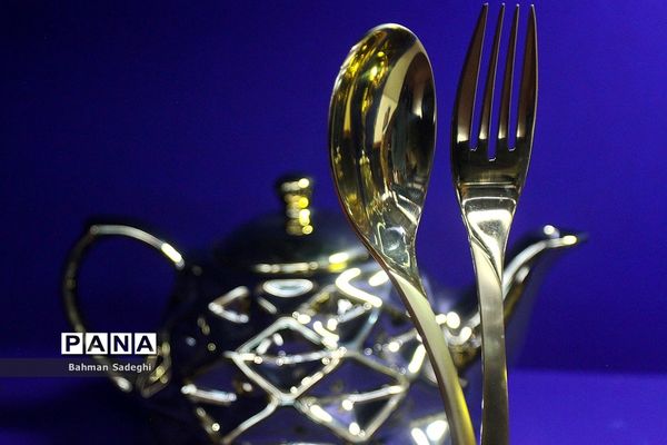 رونمایی از جدیدترین محصولات دانش‌بنیان نانو