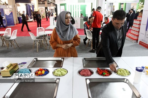 رونمایی از جدیدترین محصولات دانش‌بنیان نانو