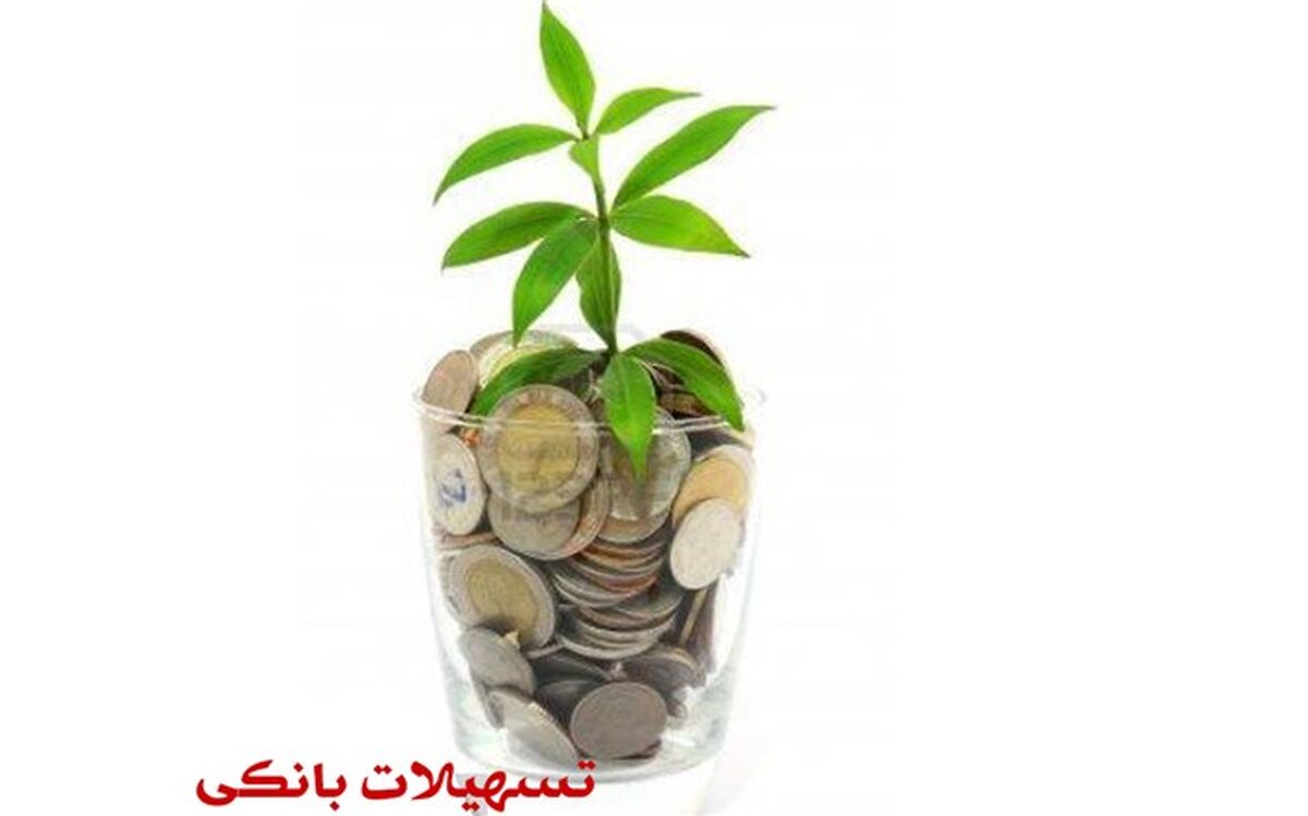 شفاف‌سازی ۱۹۵۵ هزار میلیارد تومان تسهیلات کلان بانکی
