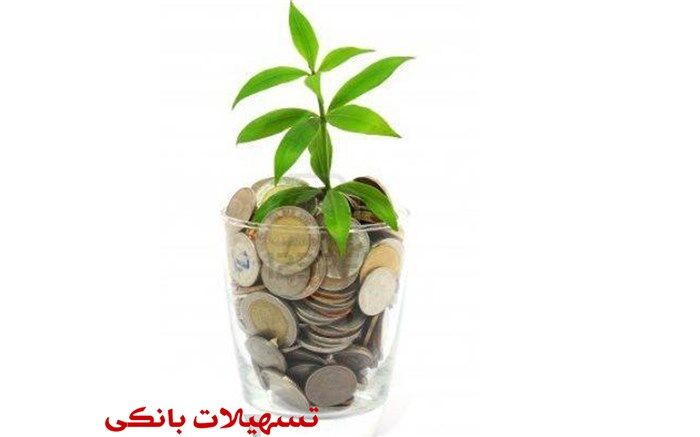 شفاف‌سازی ۱۹۵۵ هزار میلیارد تومان تسهیلات کلان بانکی