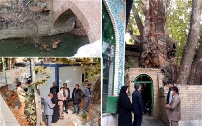 تردد خودروها به پل تاریخی برغان آسیب می‌زند