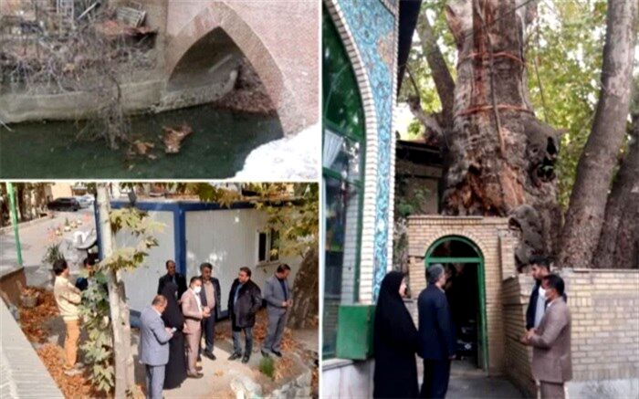 تردد خودروها به پل تاریخی برغان آسیب می‌زند