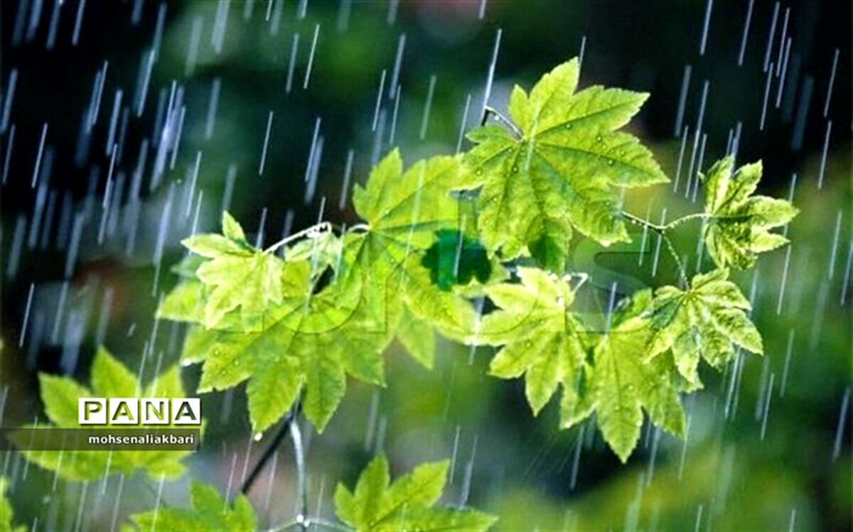 بیشترین بارندگی  خراسان جنوبی در حجت آباد سربیشه با ثبت ۲۴ میلیمتر بارش