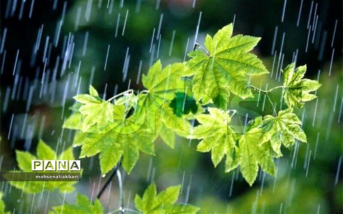 بیشترین بارندگی  خراسان جنوبی در حجت آباد سربیشه با ثبت ۲۴ میلیمتر بارش