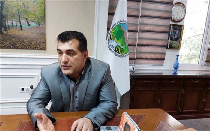 هدفگذاری برای ۲۰۰ هزار هکتار زراعت چوب در طرح یک میلیارد درخت