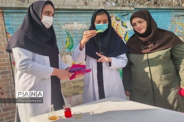 بزرگداشت روز آزمایشگاه در دبیرستان شاهد شهید حمامی