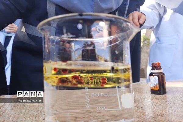 بزرگداشت روز آزمایشگاه در دبیرستان شاهد شهید حمامی