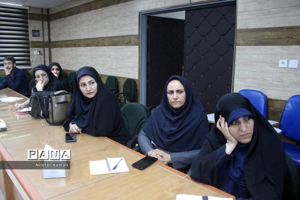 دوره کشوری تبیین برنامه های حوزه مشاوره  در بوشهر (2)