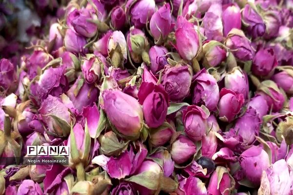 آستان مقدس امامزاده صالح(ع) تهران