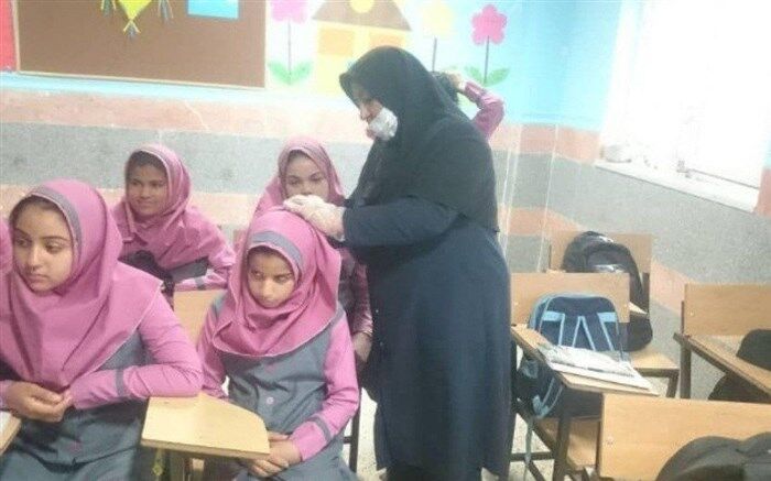 پدیکلوزیس با نام شناخته شده شپش، شایع‌ترین آلودگی انگلی در جهان است