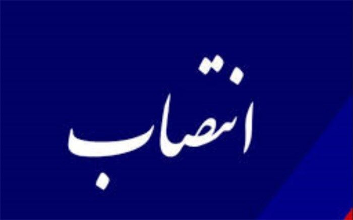 «عارف نوروزی» مدیرعامل شستا شد