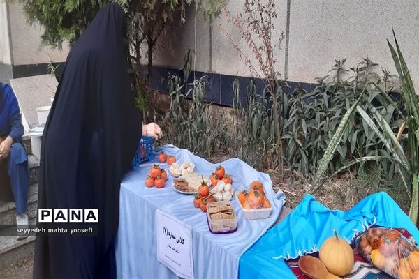 هفته مازندران در دبیرستان شاهد ساری