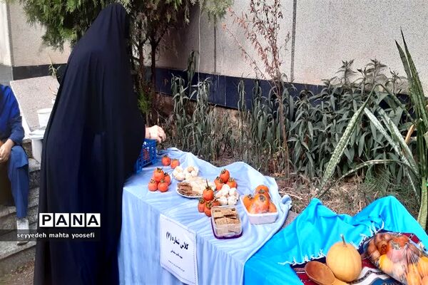 هفته مازندران در دبیرستان شاهد ساری